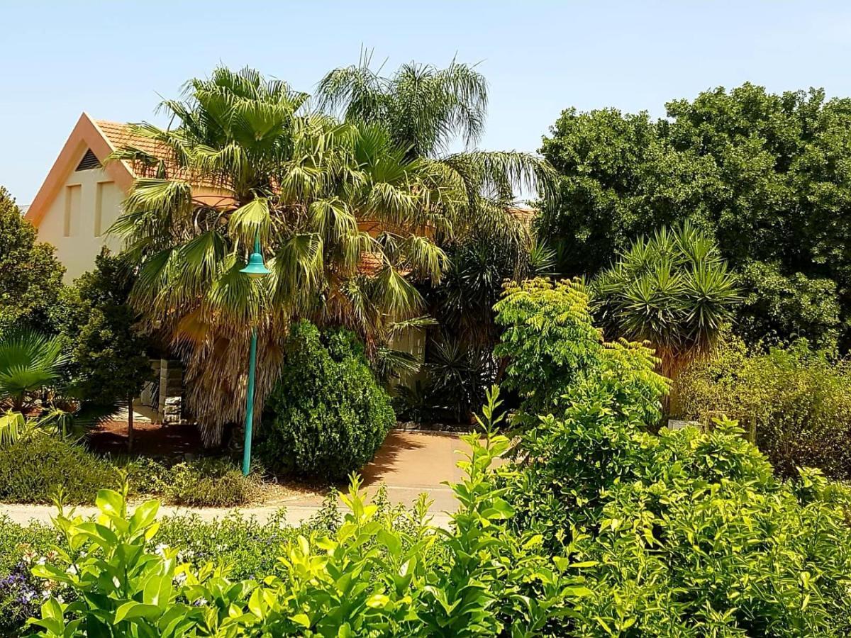 Huge&Private Villa In Kibbutz Kibbuz Dafna Exterior foto